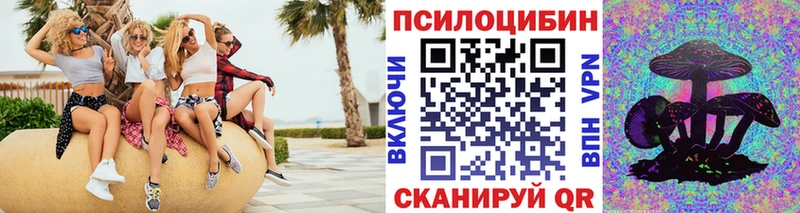 Псилоцибиновые грибы мицелий  Купить  Татарск 